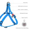 Blue Waterproof Heavy Duty Dog Harness for Small Dogs