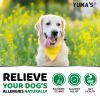 170 Anti Itch Allergy Relief Chews Treatment Pills for Dogs