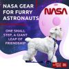 4 Ft Purple Nasa Nylon Dog Leash for Small and Medium Dogs