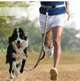 Hands Free Dog Leash for Medium and Large Dogs - Durable Dual Handle Waist Leash with Reflective Bungee for Running; Walking; Training; Hiking (colour: Orange -4211)